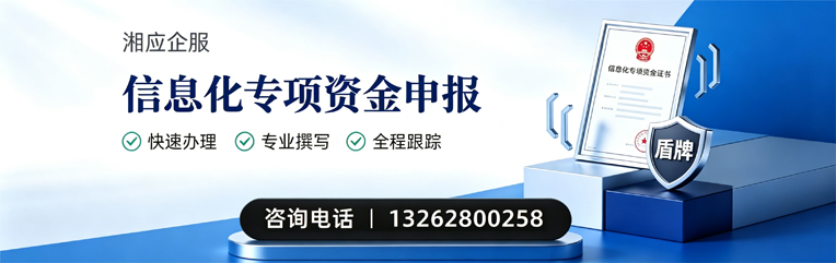菏泽信息化专项资金申报服务