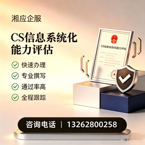 菏泽CS信息系统化能力评估申报服务