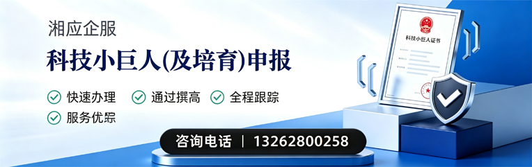 菏泽科技小巨人及培育企业申报服务