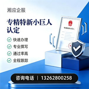 菏泽专精特新小巨人申报服务