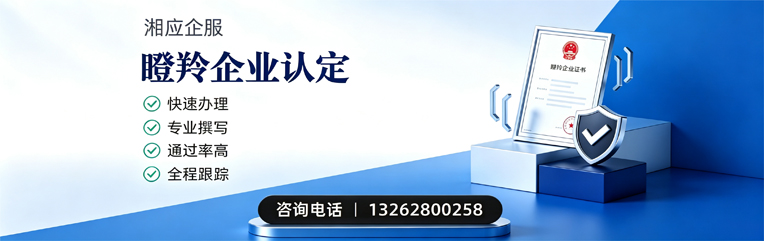 菏泽瞪羚企业认定申报服务