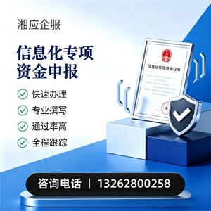 菏泽信息化专项资金申报服务