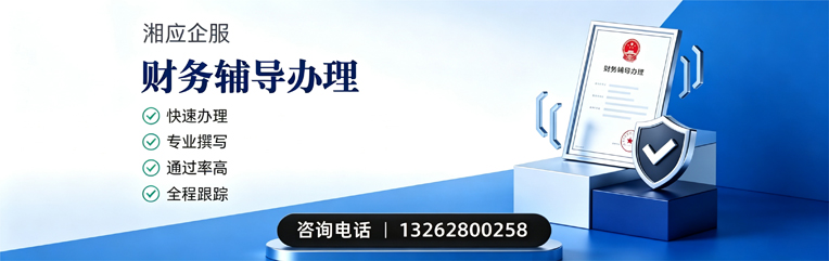 菏泽财务辅导申请服务