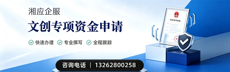 菏泽文创专项资金申报服务