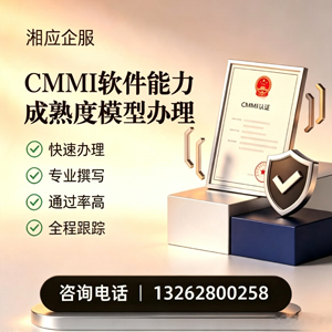 菏泽CMMI软件能力成熟度模型认证服务