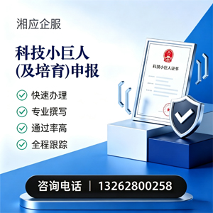 菏泽科技小巨人及培育企业申报服务