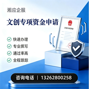 菏泽文创专项资金申报服务