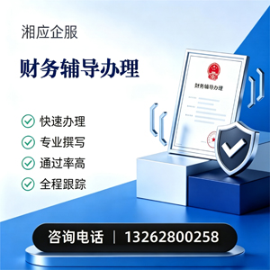 菏泽财务辅导申请服务