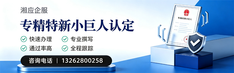 菏泽专精特新小巨人申报服务